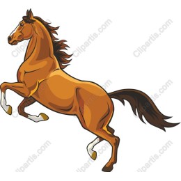 Majestic Galloping Horse