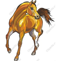 Majestic Horse