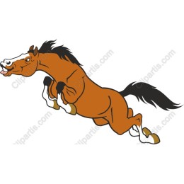 Jumping Horse
