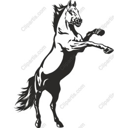 Majestic Rearing Horse