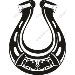 Elegant Horseshoe