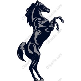 Majestic Rearing Horse