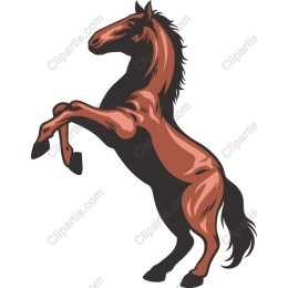 Majestic Horse