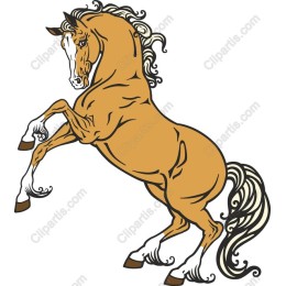 Majestic Rearing Horse