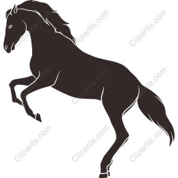 Majestic Rearing Horse