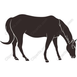 Black Horse
