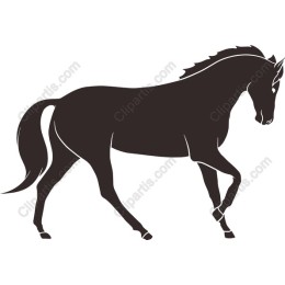 Elegant Black Horse