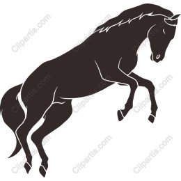 Majestic Horse