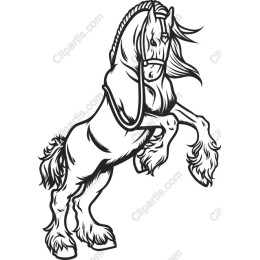 Majestic Rearing Horse