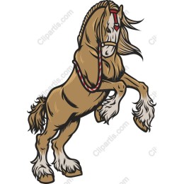 Majestic Rearing Horse