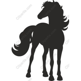 Majestic Horse