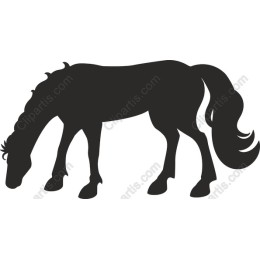 a Grazing Horse