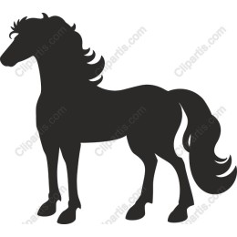 Majestic Horse