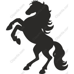 Majestic Rearing Horse
