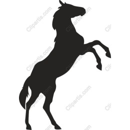 Rearing Horse