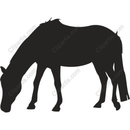 Grazing Horse