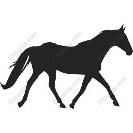 Majestic Horse