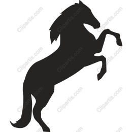 a Rearing Horse