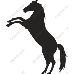 Majestic Rearing Horse