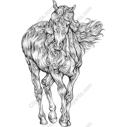 Elegant Horse
