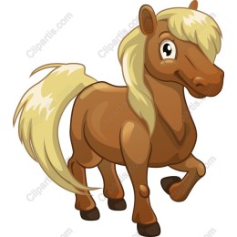 Playful Brown Pony
