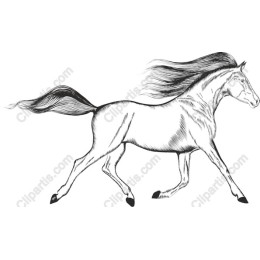 Galloping Horse