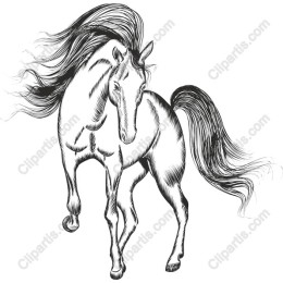 Elegant Horse