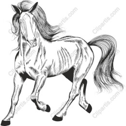 Majestic Horse