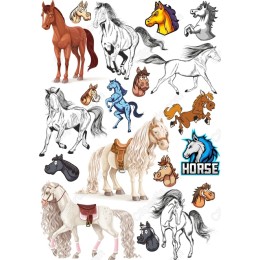 Ultimate Horse Bundle