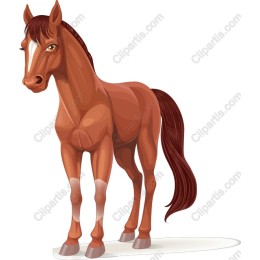 Majestic Brown Horse
