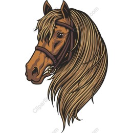Elegant Horse Head
