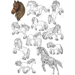 Majestic Horse Bundle