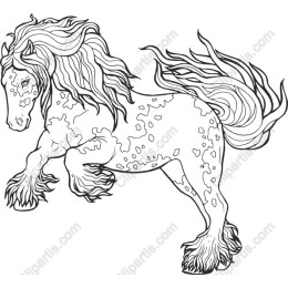 Majestic Horse Line Art