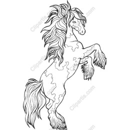Majestic Rearing Horse
