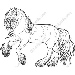 Majestic Horse