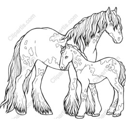 Elegant Horse and Foal