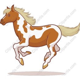 Playful Trotting Horse