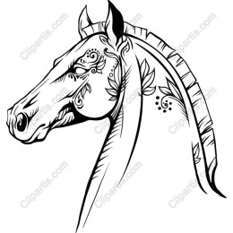 Intricate Horse Head