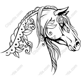Elegant Horse Head