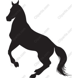 Majestic Rearing Horse