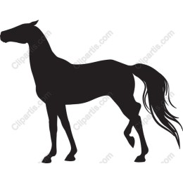 Elegant Black Horse