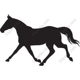 Dynamic Horse