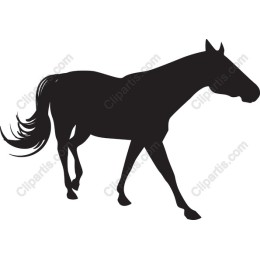 Elegant Horse