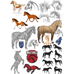 Mustangs Bundle