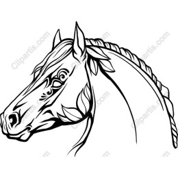 Elegance in Motion: Horse Head