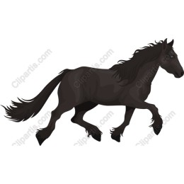 Galloping Black Horse