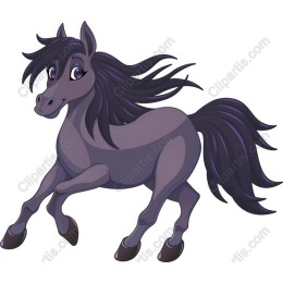 Playful Pony