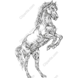 Majestic Horse Line Art