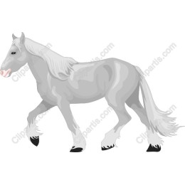 Graceful Grey Horse