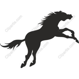 Dynamic Rearing Horse